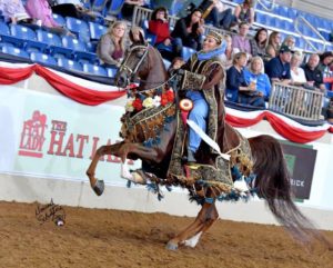 Gallery - California Arabian Costumes